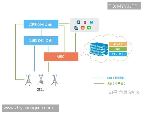 武汉篮球队运营解析：从市场策略到球迷互动的全景观察